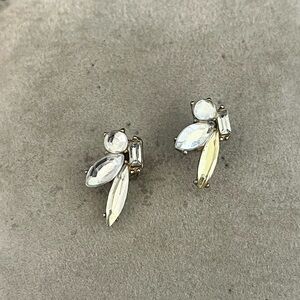 Elegant Crystal Earrings